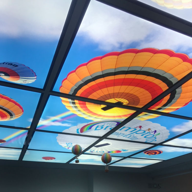 Bramptons Primary School Ceiling