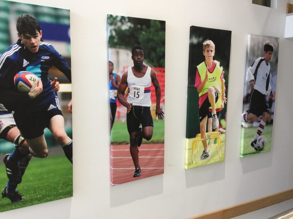 NSB Sports Display Panels